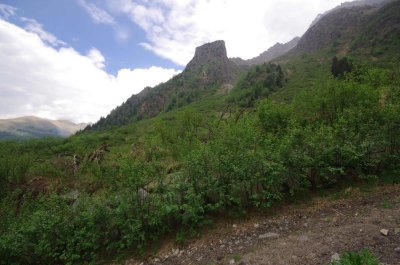 Val Sozzine