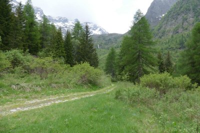 Val Sozzine