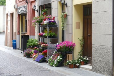 Parma
