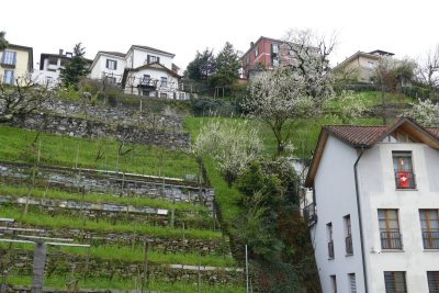 Bellinzona