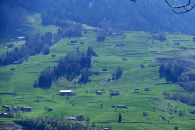 Schwyz