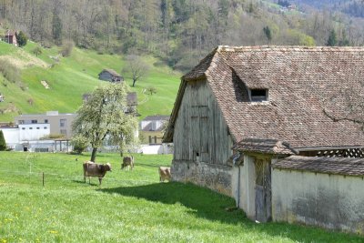 Schwyz