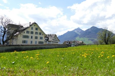 Schwytz