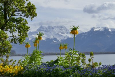 Montreux