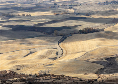 View of the Palouse from Steptoe Butte, Eastern WA