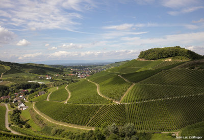 Vue sur la Fort Noire