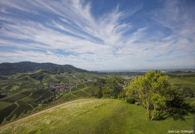 Vue sur la Fort Noire