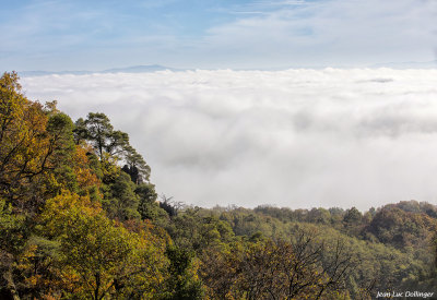Vue du chteau St Ulrich