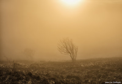 Ambiance matinale