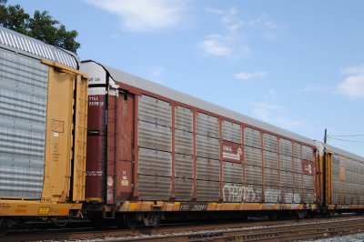 253959
