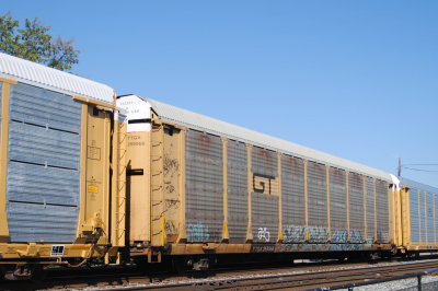 255566