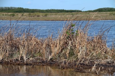 Southwest Florida & The Everglades