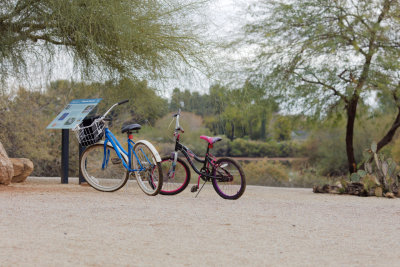 Riparian Preserve : Lonely bikes