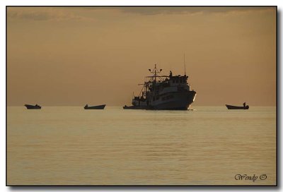 Boats at Dawn