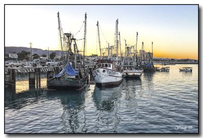 San Felipe Harbor