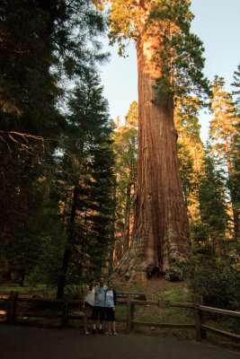 Grant Grove