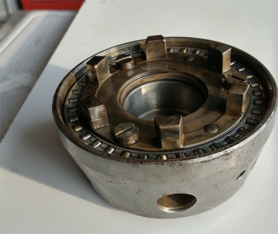 Rambold_5f.jpg