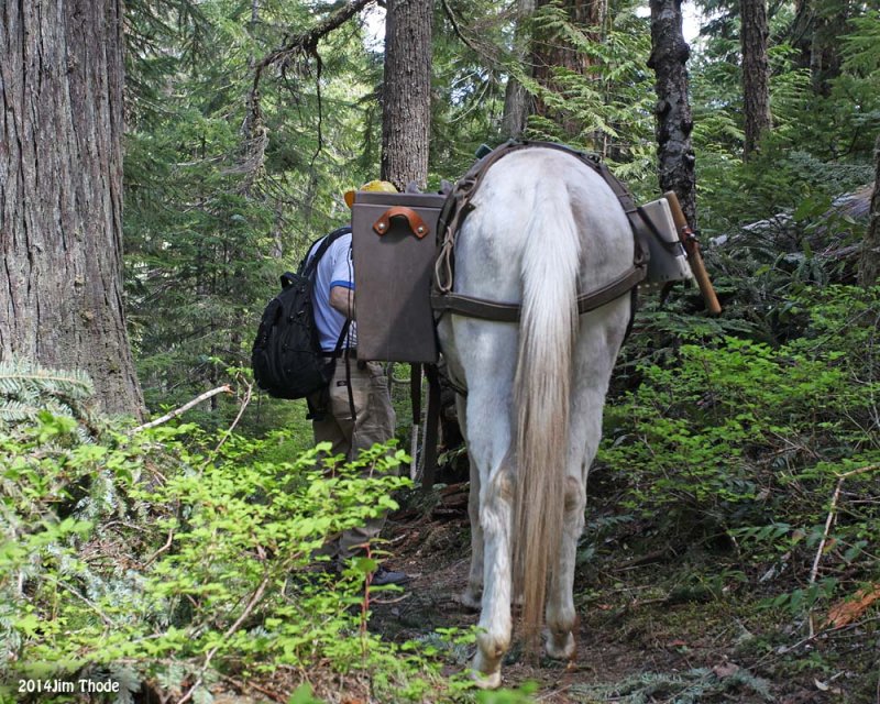 Packwood Lake 2014