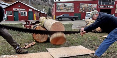 Cuting a 16 fir log