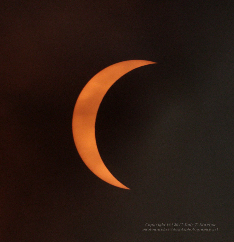 Partial Eclipse - IMG_8433.JPG