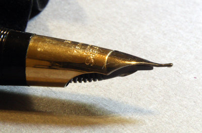 Snorkel Nib Right - IMG_6800.JPG
