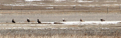 Eagle Party - IMG_1911.JPG