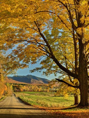 Mt. Mansfield from Brycre Road #2