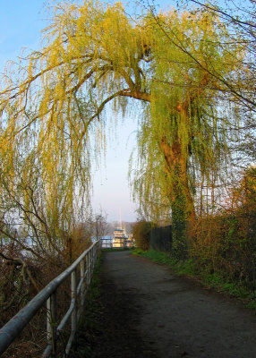 Willow Gate