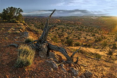 Sunrise above the Escalante