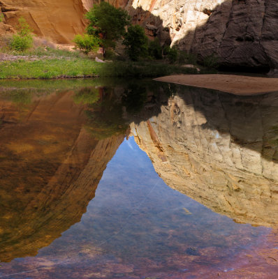 Canyon Reflection