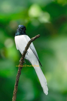 DSC_3829.jpg