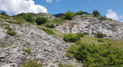 Macedonian grayling habitat