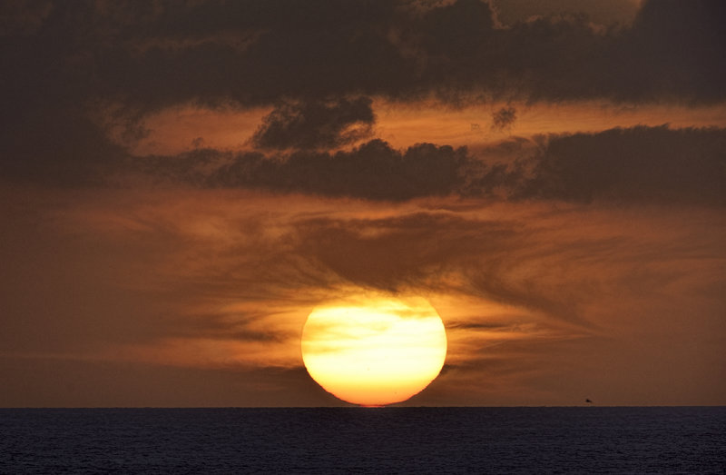 _DSC9066.jpg