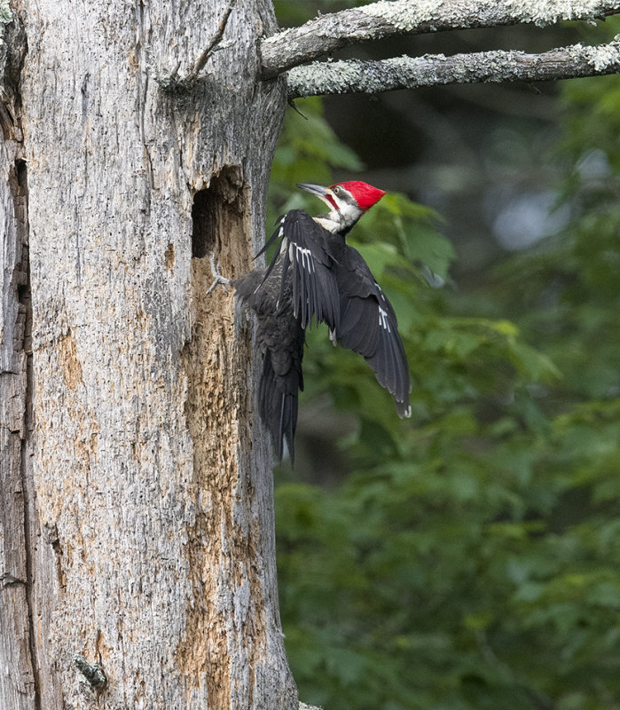 _DSC15391.jpg