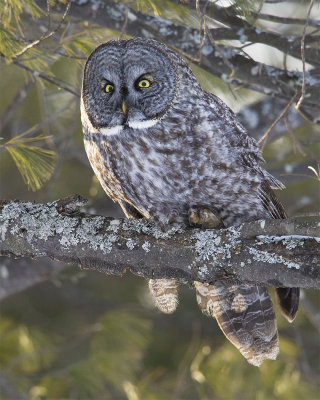_DSC1106-1.jpg