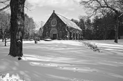 _DSC6461.jpg