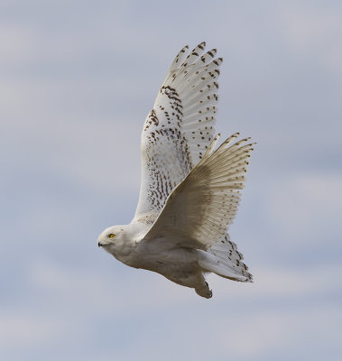 _DSC6107-1.jpg