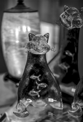 _DSC8853.jpg