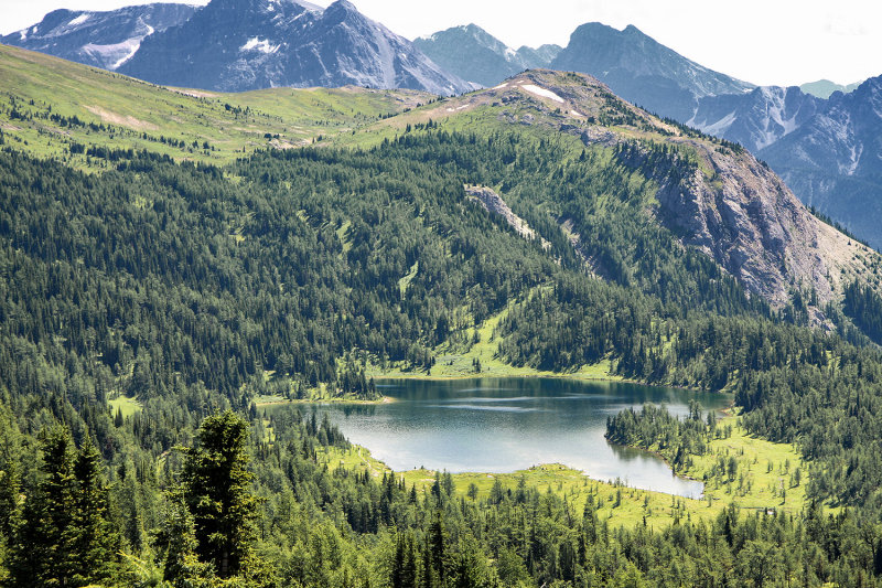 Larix Lake