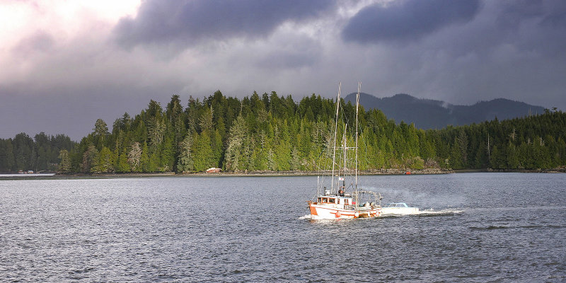 Going Fishing