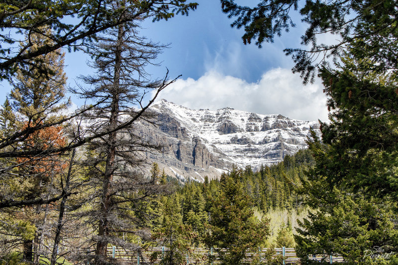 Cloudy Peak