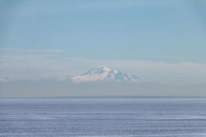 IMG_8171w.jpg