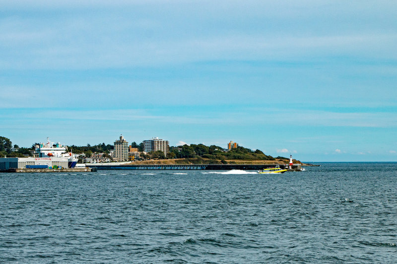 IMG_8248w.jpg