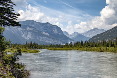 Bow River From Bow Valley Provincial Park, Whitefish Day Use Area