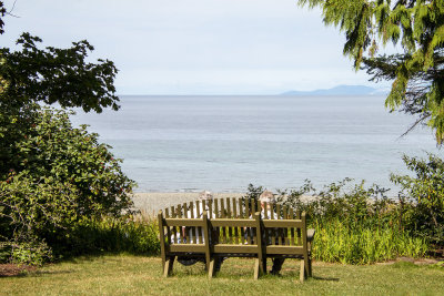 A relaxing view at Milner Gardens & Woodland