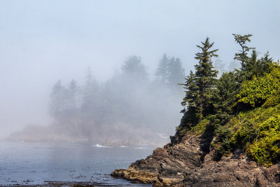 A mix of fog and sun on the Wild Pacific Trail