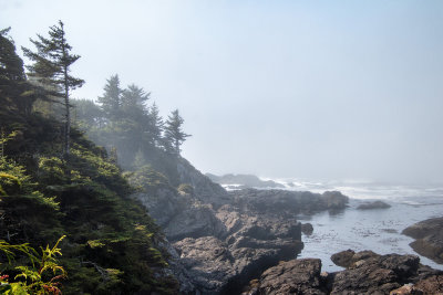A rugged shoreline on the Wild Pacific Trail