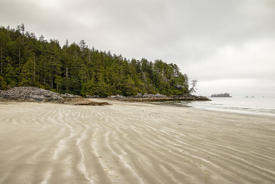 Lines in the sand at Tonquin Park, Tofino