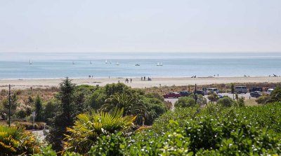 IMG_5228.jpg