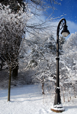 Penn State Winter Wonderland 2014 (10).jpg